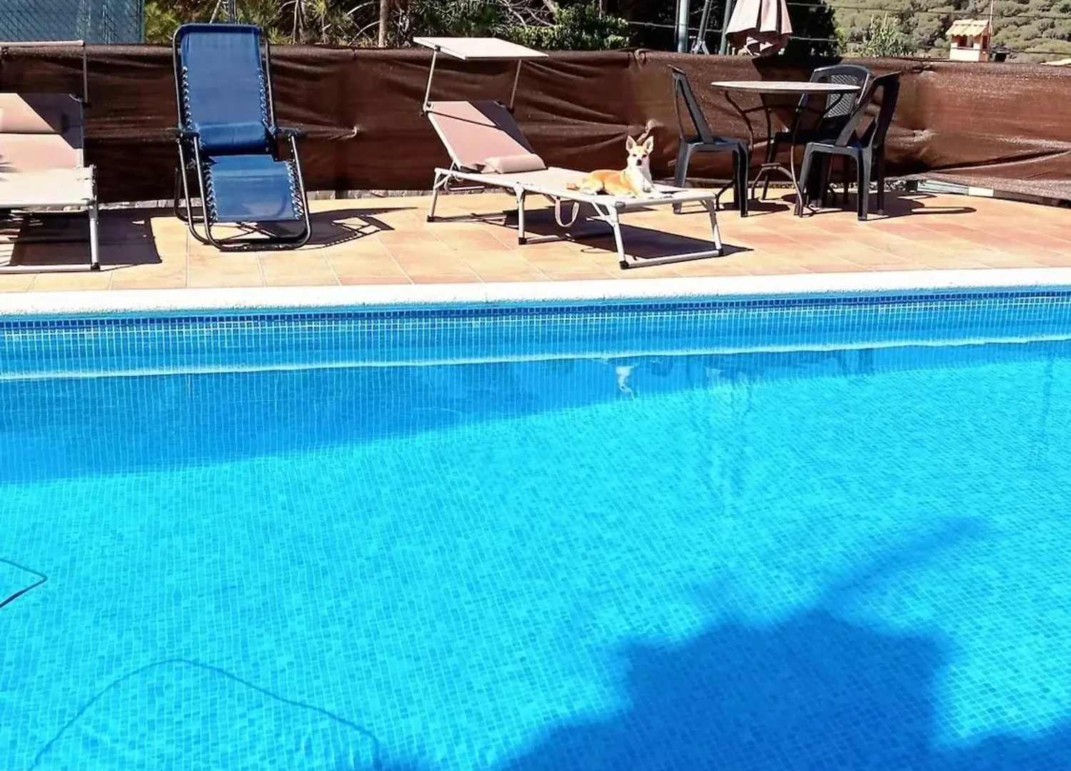 Ideal Apartment With Pool In يوريت دي مار إسبانيا